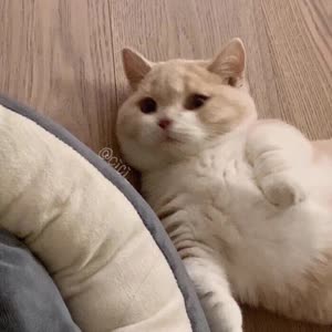 默认封面图片描述