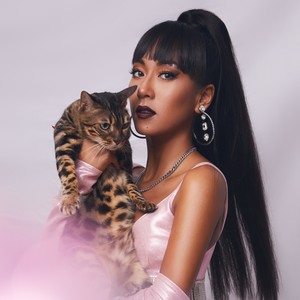 默认封面图片描述